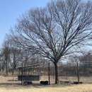 한국생명과학고등학교 이미지