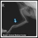 조치원메디컬센터 이미지