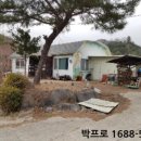 2019-주117 이미지