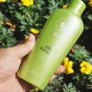 오렌지헤어닷컴 이미지