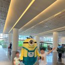 더케이트래블 이미지