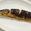신탄회센터식당