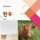 한우이야기