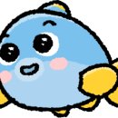 중앙그릇상회 이미지