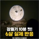 위드안전 | 키즈위드 그림자극장 어린이날선물 추천, 수면교육까지 되는 유아책 활용 후기