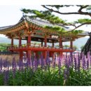 김해수로왕릉 이미지