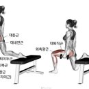 스타휘트니스(220) 이미지