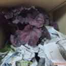 두리조경 이미지