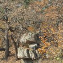 수덕 캠핑장 이미지