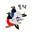 민화A 이미지