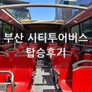 레드라인 | 부산 시티투어버스 예약 방법 노선도 시간표 레드라인 가격 할인 탑승 후기 춘식이 정보