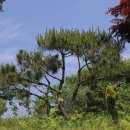 금수산 농원 이미지