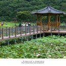연담공원 이미지