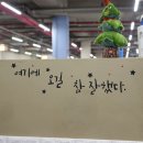 선이네 회먹고가자 | 인천 영흥도 여행 회포장 어디서 할까? 영흥수협회센터 모둠회 후기 : 공룡수산횟집