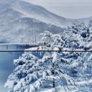 카페멍날 이미지