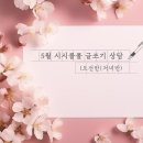 5월 시시콜콜 글쓰기 상담(오전반 | 저녁반) 이미지