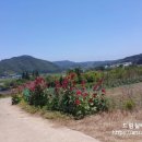 창지1리경로당 이미지