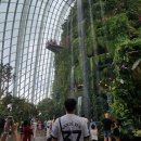 가든 오브 클라우드 이미지