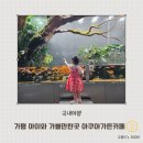 아쿠아가든카페 양재점 | 가평 아이와 가볼만한곳 물고기 먹이주기 체험 아쿠아가든카페