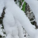 휴아일랜드 이미지