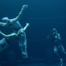 Avatar : The Way of Water 이미지