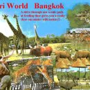 사파리월드 - 포천시 금강로 2056 | 사파리월드