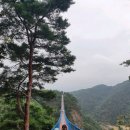 치악산약국 이미지