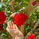 안산식물원 | 경기도 안산 실내 가볼만한곳 안산식물원 아이랑 놀거리