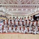 용인대 미르 태권도장 이미지