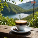 올리브조화 이미지