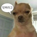 웅 네이버블로그