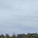 FOREST99 | 알펜시아CC 후기 — 평창 메도우·포레스트 코스, 99타 달성과 대관령 한우까지
