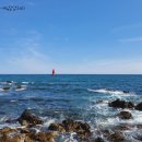 어,달달하리 이미지