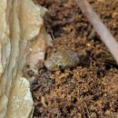 주사랑마트 이미지