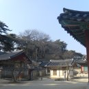 48.소수서원(紹修書院) 탐방기