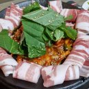 오늘도 쭈꾸미 이미지