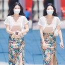 미시 이미지