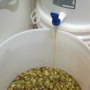 Anderson Valley Hop Ottin IPA Clone.....만들어버리다. 이미지