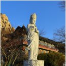 금산-01 이미지