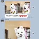 살롱드몽몽 이미지