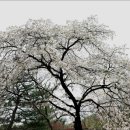 영산서원 이미지