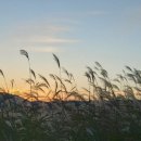 여주-0410 이미지