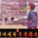 이재화 동충하초
