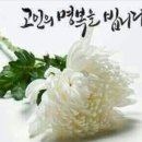 앞산친구들 침묵고문님 (임성재) 어머니께서 별세하셨습니다. 이미지