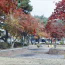 한국교원대 교육연구관 이미지