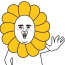 더함에스테틱 이미지