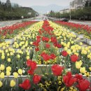 남강주유소 이미지