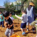 은하자연어린이집 이미지