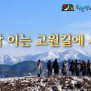 하도치 이미지