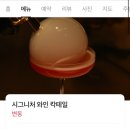 [동성로 술집] 이름부터 독특한 동굴 와인바 8! 8팩토리얼은 아니겠지